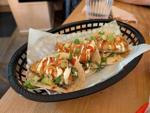  at Tam's Kitchen in Paignton