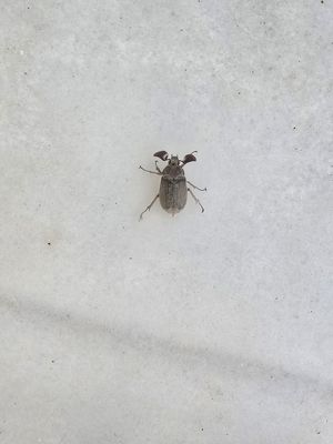  at Tam's Kitchen in Paignton