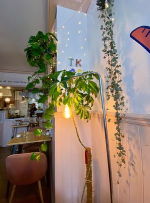 Little details  at Tam's Kitchen in Paignton