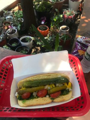 vegan chicago dog at Dog Day Afternoon in Brooklyn