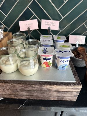   at Amerikalinjen in Oslo