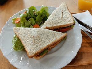 Hummus toast with smoked tofu at Café na cucky in Olomouc