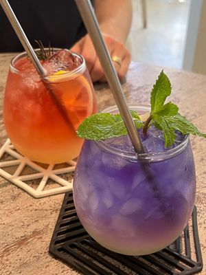  at Sauce Tree Kuta in Kuta