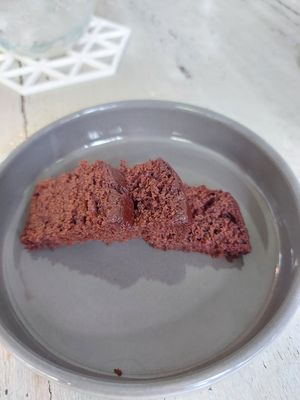 Free cake! at Sauce Tree Kuta in Kuta