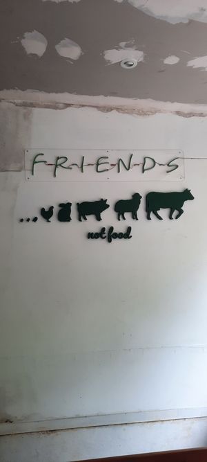  at Sauce Tree Kuta in Kuta