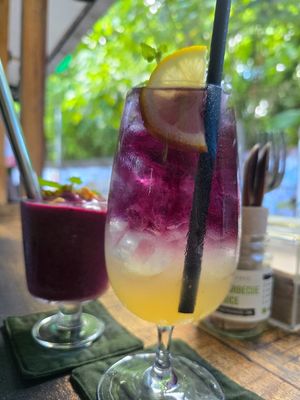 Amazing vegan food and drinks, can't recommend this place enough. Staff are wonderful and super friendly too. at Sauce Tree Kuta in Kuta