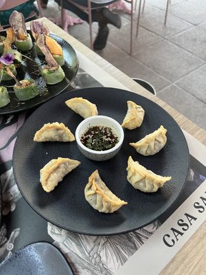 Gyosas  at Casa Sanz at Hotel Bidasoa in Santiago