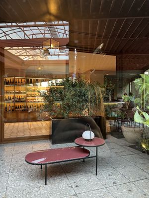 🪴   at Casa Sanz at Hotel Bidasoa in Santiago