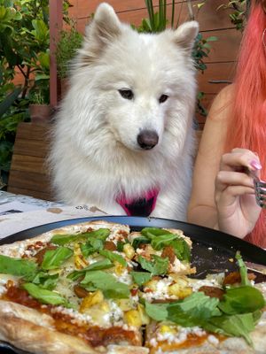Pizza del futuro #Veganuary at Casa Sanz at Hotel Bidasoa in Santiago