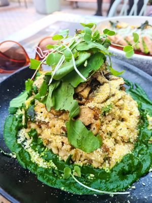 Rissotto de mote, muy rico! at Casa Sanz at Hotel Bidasoa in Santiago