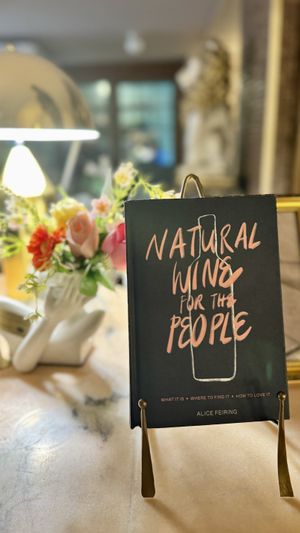 Yes please  at Casa Sanz at Hotel Bidasoa in Santiago