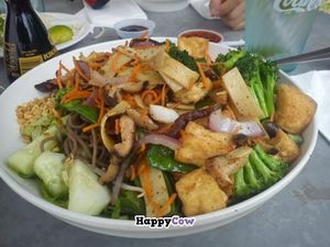 Teddys not gay at Jenni's Noodle House - S Shepherd in Houston