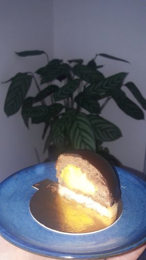  at L'Empire des Sans in Montpellier