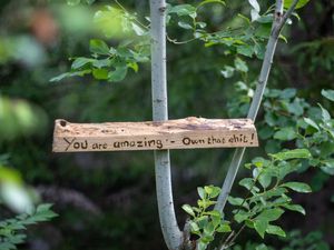  at Hagabrekka Wanderland - Wanderlust Yoga in Flatdal