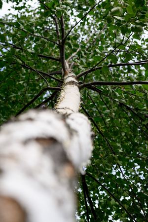  at Hagabrekka Wanderland - Wanderlust Yoga in Flatdal