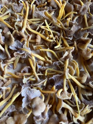  at Hagabrekka Wanderland - Wanderlust Yoga in Flatdal