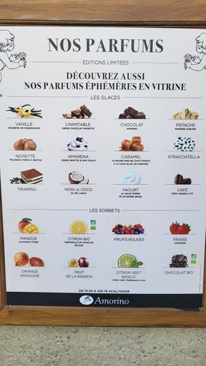 8 vegan sorbet flavours. at Amorino in Carcassonne