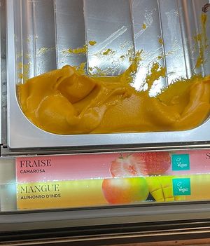 vegan ice cream with a logo  at Amorino in Carcassonne