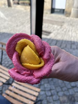 Isn‘t it beautifull  at Amorino in Carcassonne