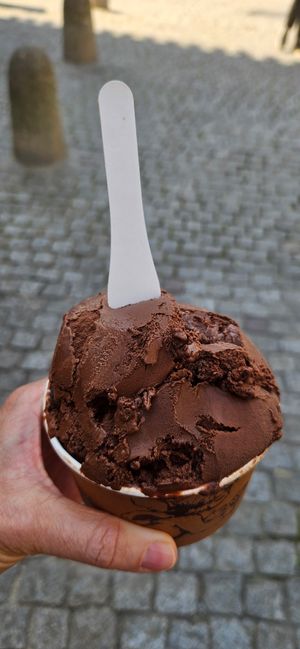 2 scoops of chocolate sorbet (made with oat milk). at Amorino in Carcassonne
