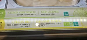 Vegan flavours at Amorino in Carcassonne