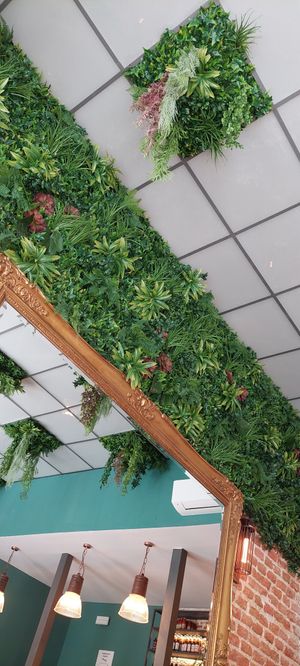 Decoracion💛💚 at Distrito Vegano Invernadero in Madrid