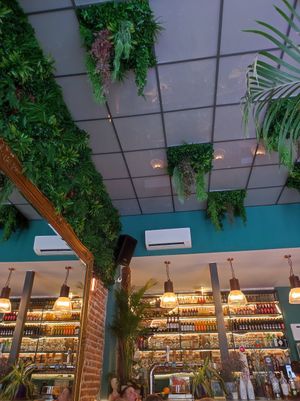  at Distrito Vegano Invernadero in Madrid