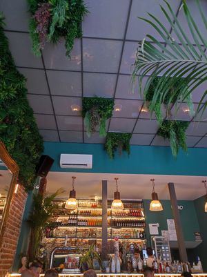  at Distrito Vegano Invernadero in Madrid