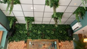   at Distrito Vegano Invernadero in Madrid