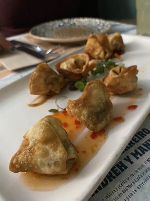 Neo Gyozas  at Distrito Vegano Invernadero in Madrid