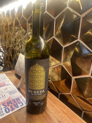   at Distrito Vegano Invernadero in Madrid