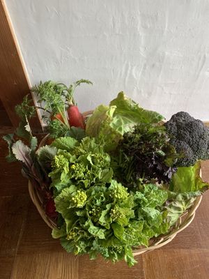   at Tanemusubidou - タネむすび堂 in Shodo Island