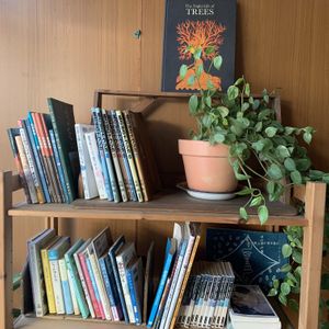   at Tanemusubidou - タネむすび堂 in Shodo Island