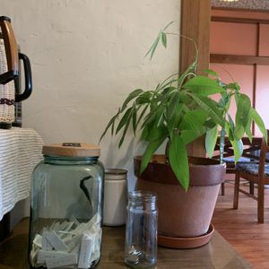   at Tanemusubidou - タネむすび堂 in Shodo Island