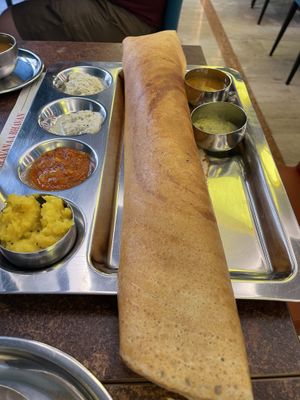 Potato dosa - dosa is empty and potatoes are the yellow on the side   at Saravanaa Bhavan in Rome