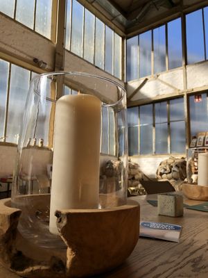 Innen   at moxxa.caffè in Cologne