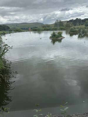 View   at Tebay Services Southbound in Orton