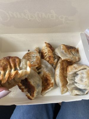 Pan fried vegan dumplings  at Dumpling'd in Te Aro