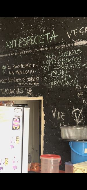 Antispeciesist! To see bodies as objects of consumption is weird, speciesist, and patriarchal   at V De Vegano  in Mexico City