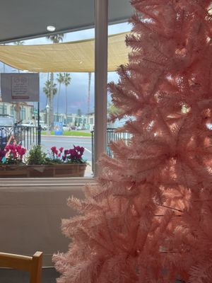 view  at The Espresso Lab Cafe in San Diego