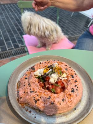 Hummus, probably the smoothest you have ever tried at Puravita Vegan  in Estepona