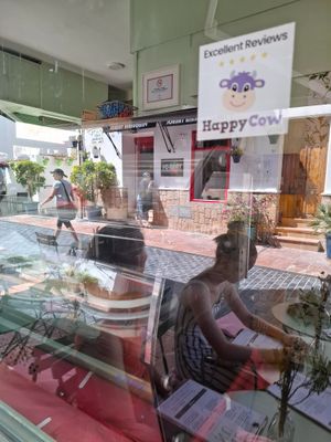 Inside cakes at Puravita Vegan  in Estepona