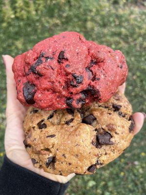   at Puravita Vegan  in Estepona