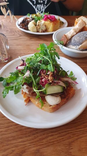 Flatbread toast (front) and savory plate (back) at FREA Bakery in Berlin