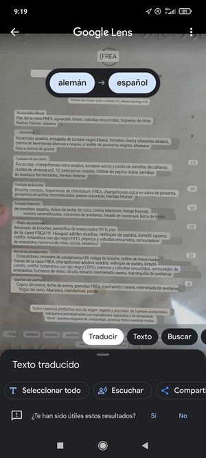  at FREA Bakery in Berlin