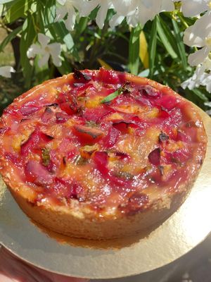 Home made fresh peaches tart with lemon verbena. Full plant based.
 at Avec&Sans in Perigueux