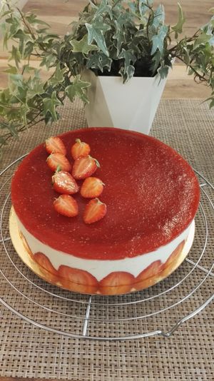 Fraisier at Avec&Sans in Perigueux