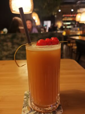 Ready Teddy at Daintree in Kempten