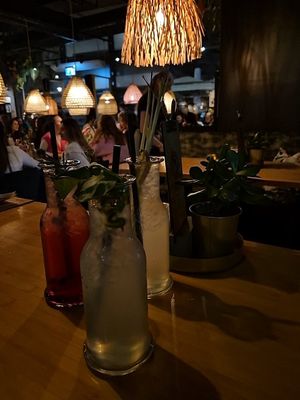  at Daintree in Kempten