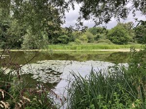   at Modern Life Café in Norwich